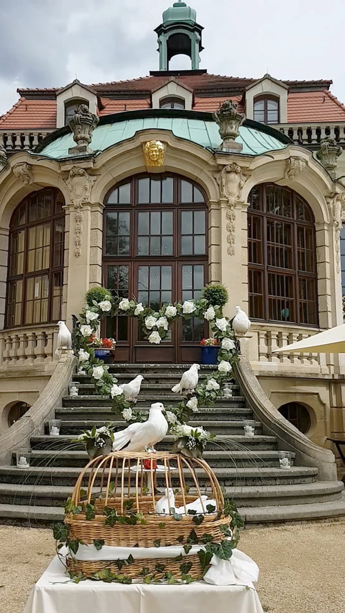 Foto von unserem Hochzeitstauben Service im Schloss Proschwitz bei Meißen